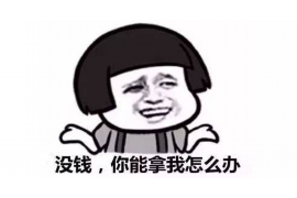 德庆债务清欠服务